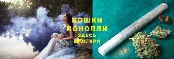 индика Верхнеуральск