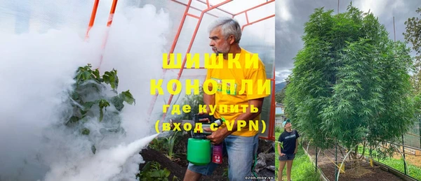 бошки Верея