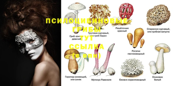 прущая мука Володарск