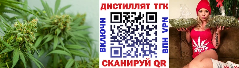 МЕГА как зайти  Калтан  ТГК концентрат 